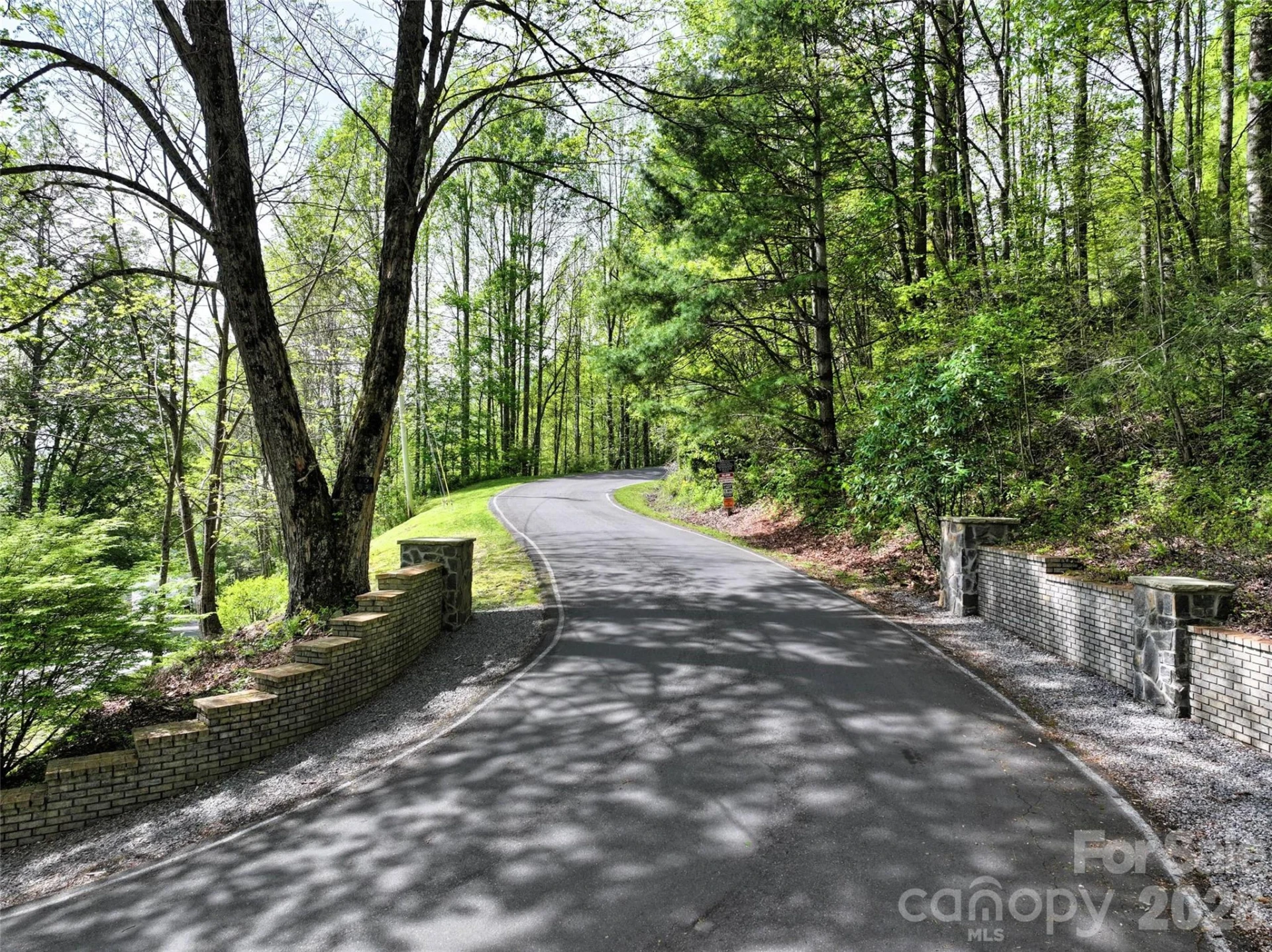 9999 Divit Road #45 - Photo 3