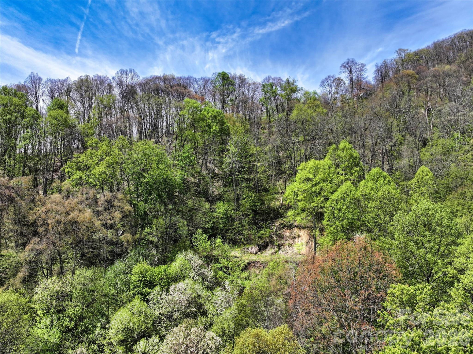 9999 Divit Road #45 - Photo 29