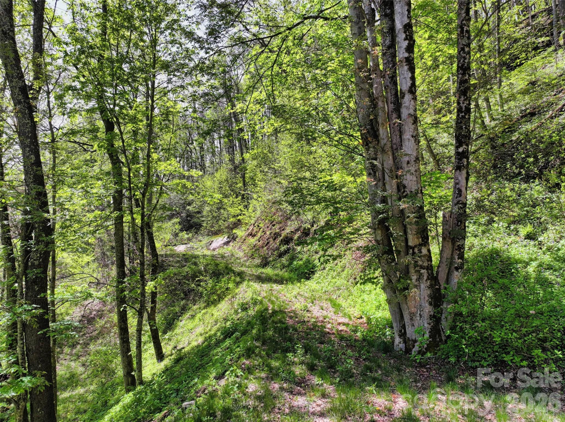 9999 Divit Road #45 - Photo 10