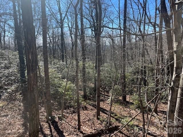 Lot 79 Arrowhead Trail, Columbus, NC, 28722