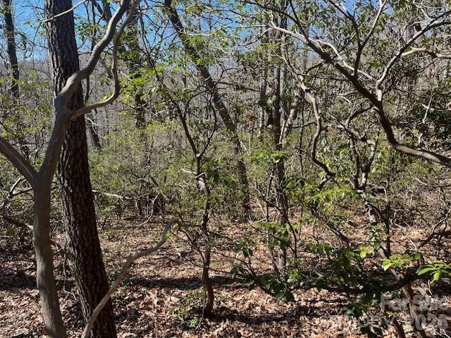 Lot 79 Arrowhead Trail - Photo 3