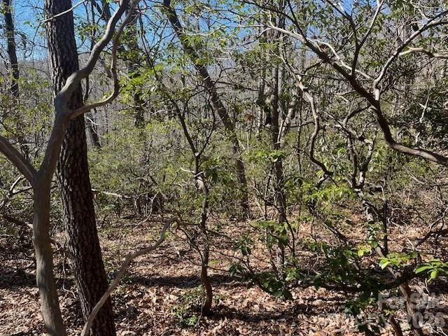 Lot 79 Arrowhead Trail - Photo 3