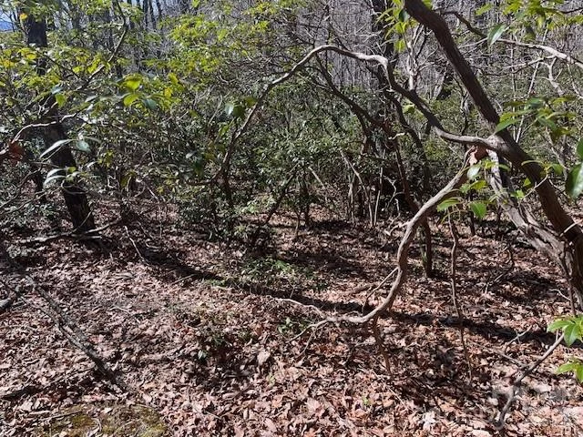 Lot 79 Arrowhead Trail - Photo 4