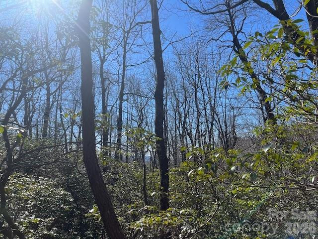 Lot 79 Arrowhead Trail - Photo 5