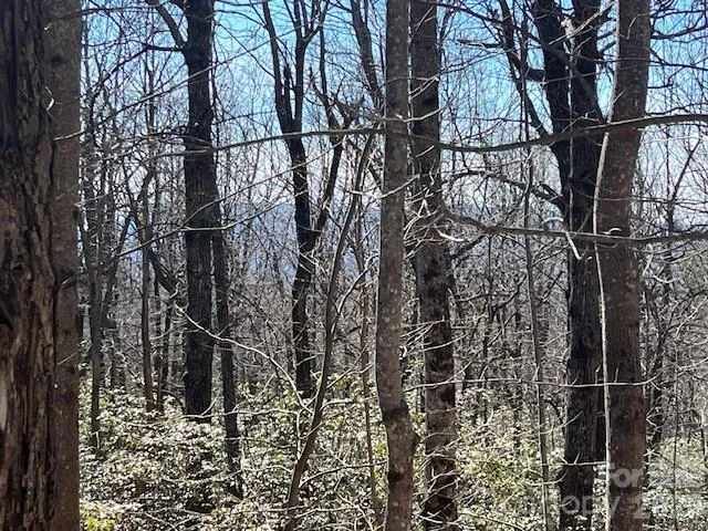 Lot 79 Arrowhead Trail - Photo 6