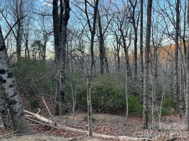 Lot 79 Arrowhead Trail - Photo 7