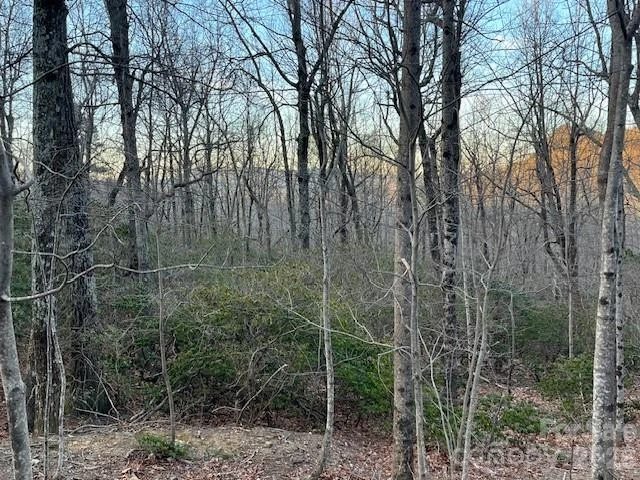 Lot 79 Arrowhead Trail - Photo 8