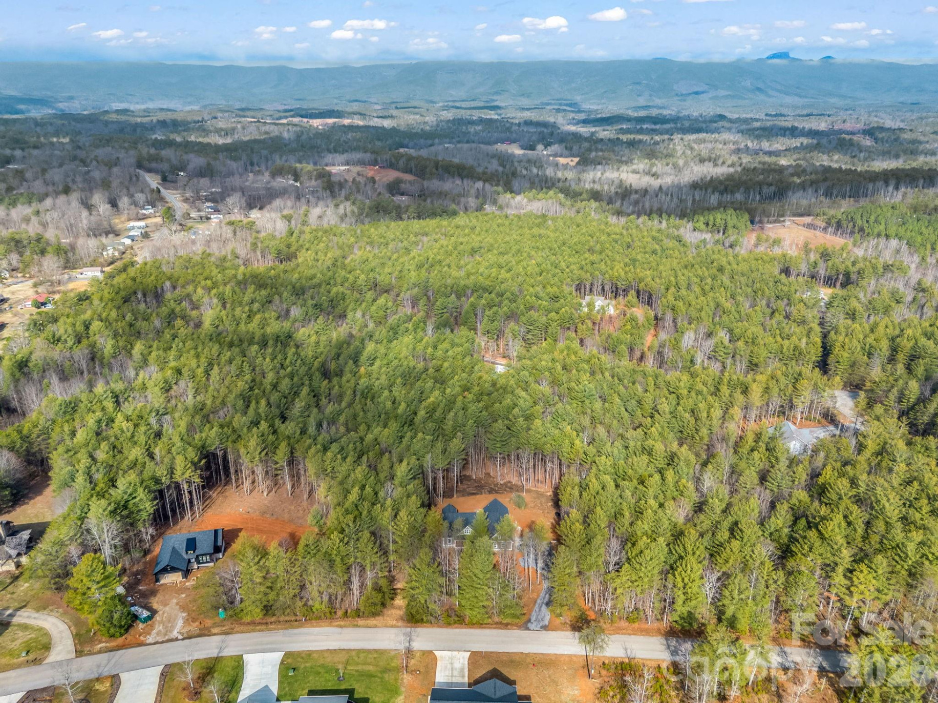 1057 Hawksbill Drive - Photo 43