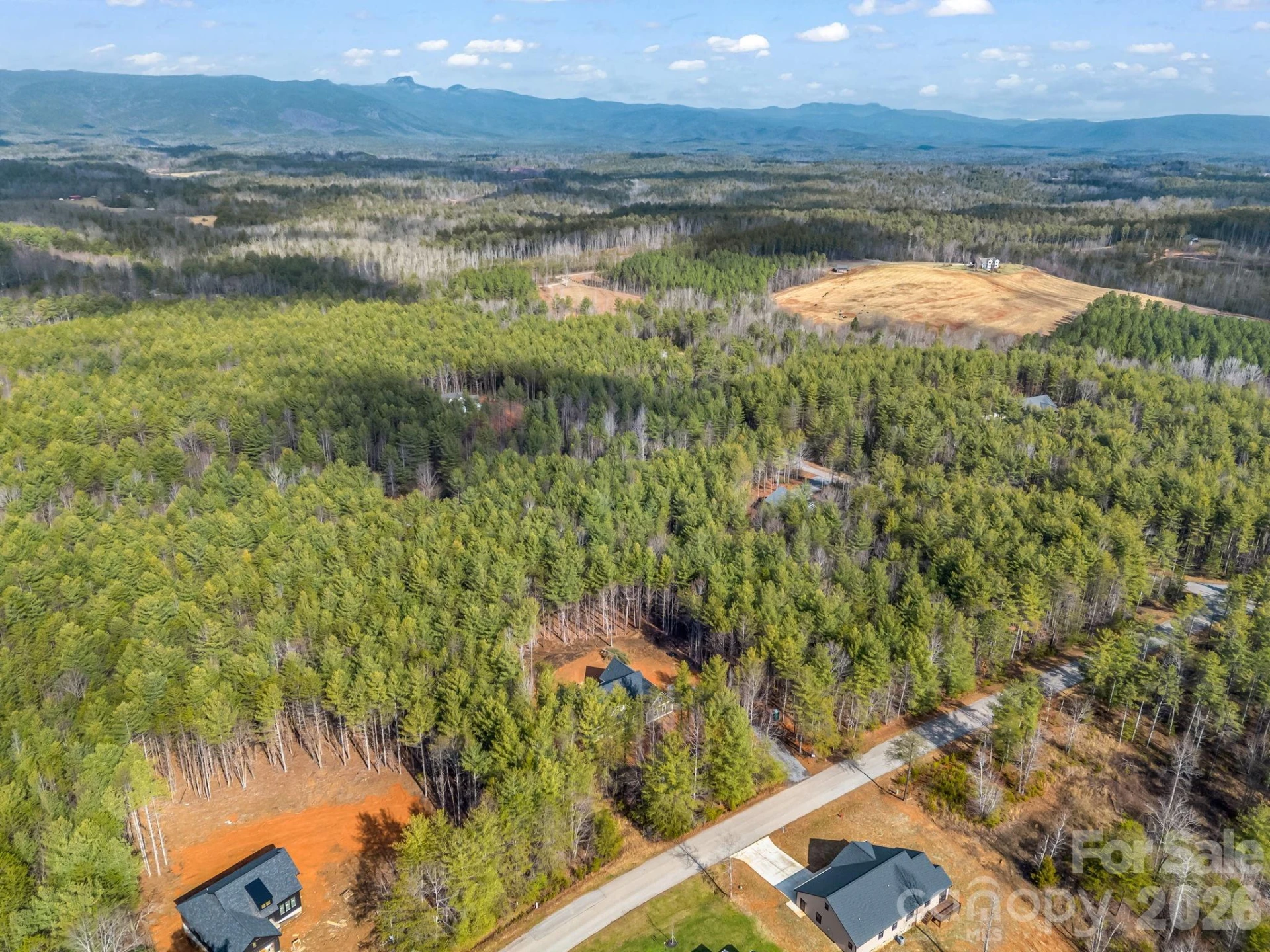 1057 Hawksbill Drive - Photo 47