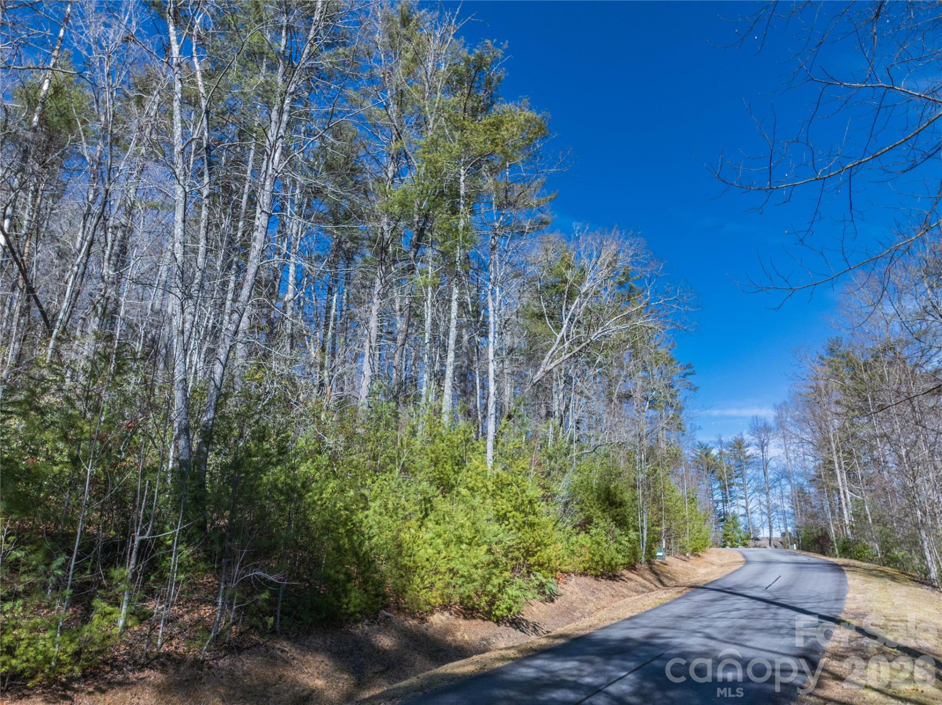 Lot 25 (A and B) Rockbrook Overlook - Photo 15