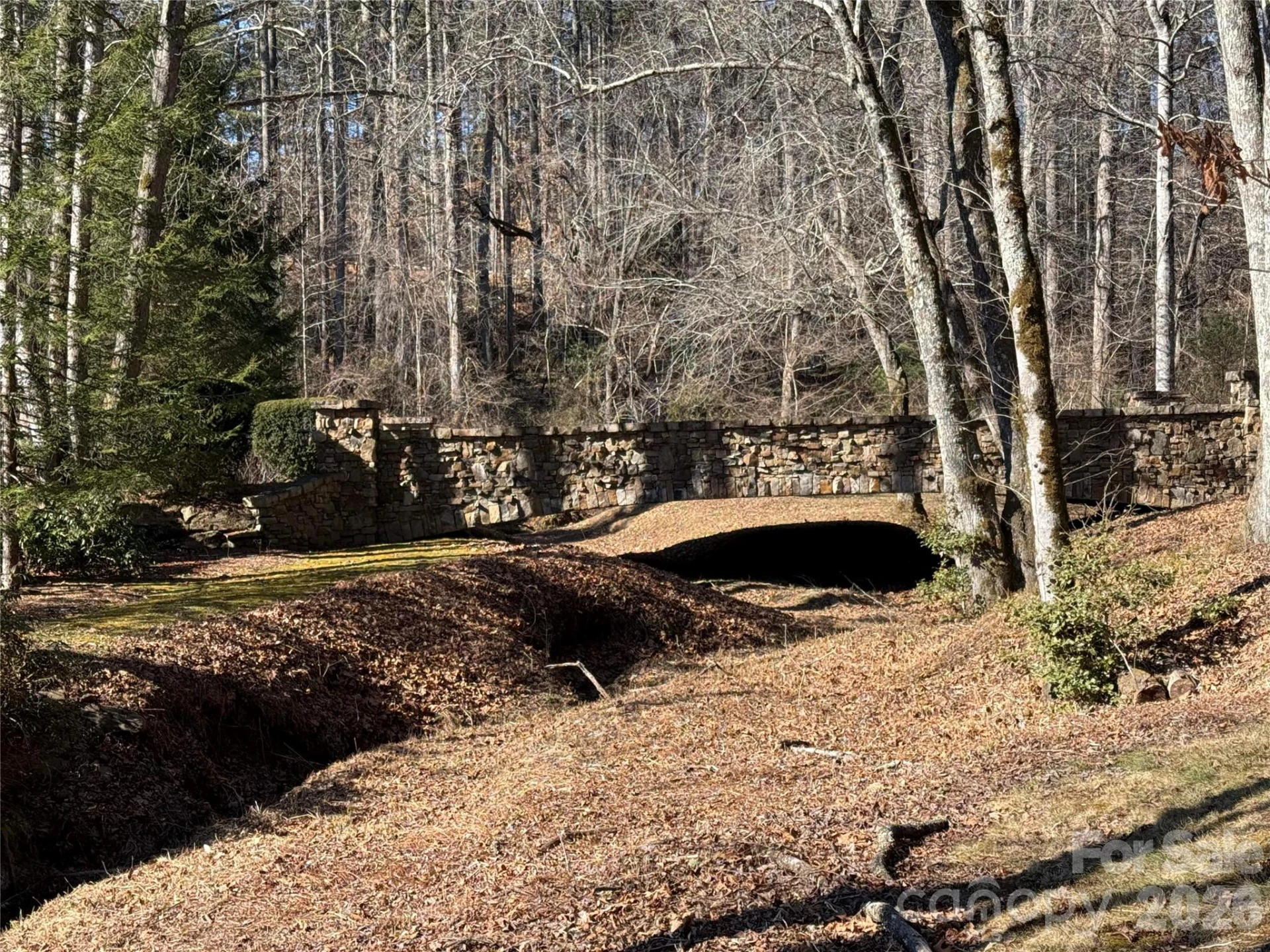 Lot 25 (A and B) Rockbrook Overlook - Photo 3