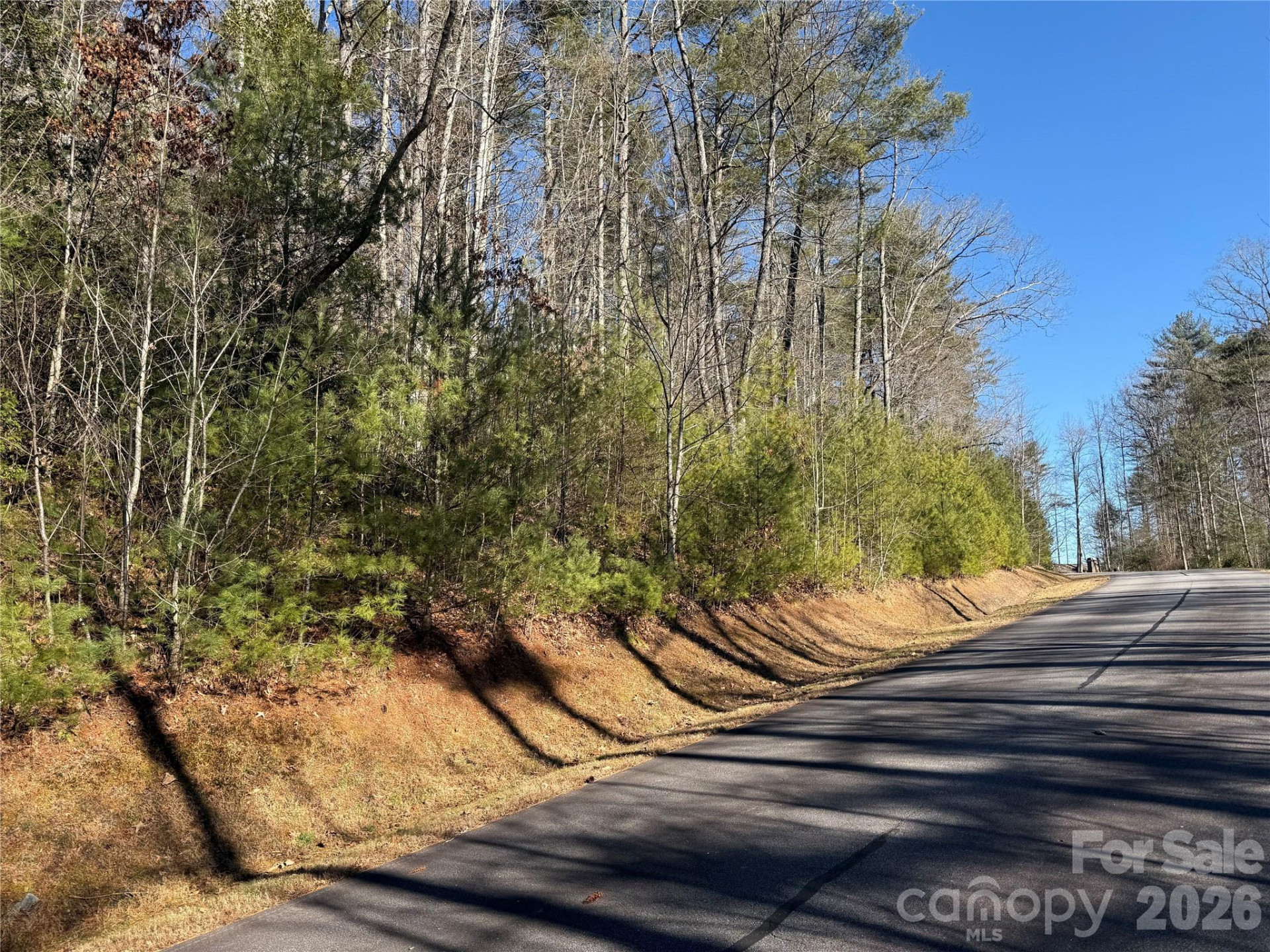 Lot 25 (A and B) Rockbrook Overlook - Photo 4