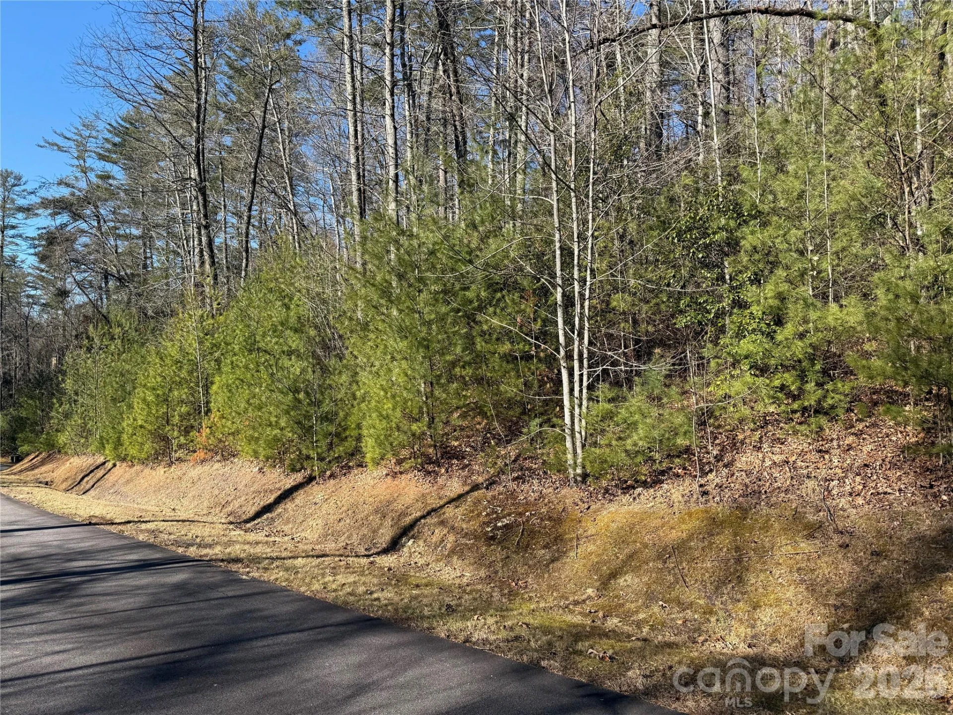 Lot 25 (A and B) Rockbrook Overlook - Photo 5