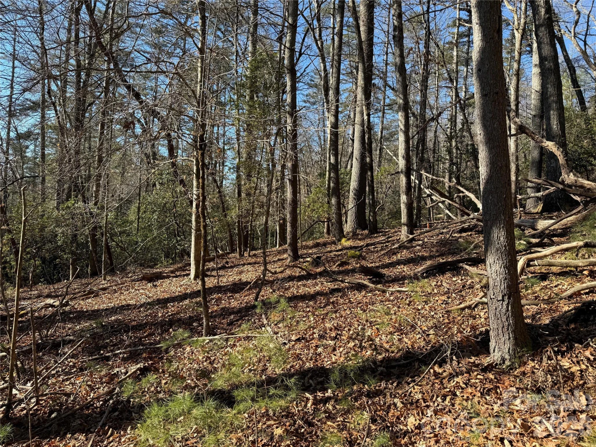 Lot 25 (A and B) Rockbrook Overlook - Photo 6