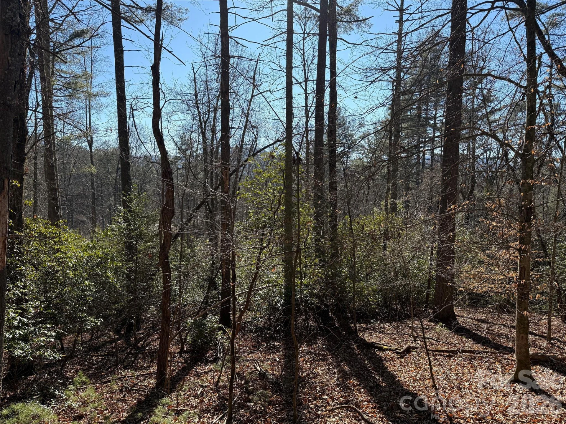 Lot 25 (A and B) Rockbrook Overlook - Photo 7