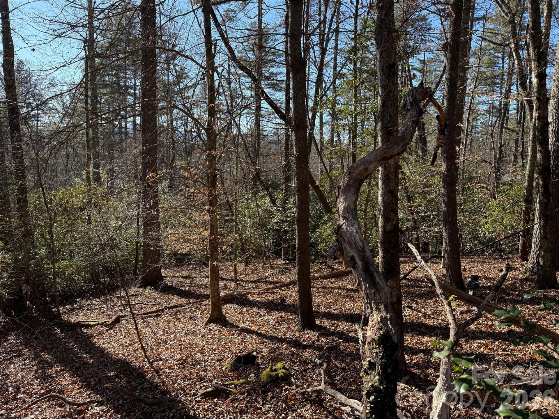 Lot 25 (A and B) Rockbrook Overlook - Photo 8