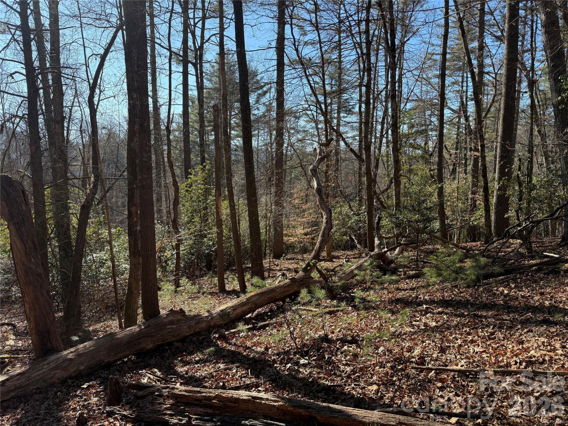 Lot 25 (A and B) Rockbrook Overlook - Photo 9