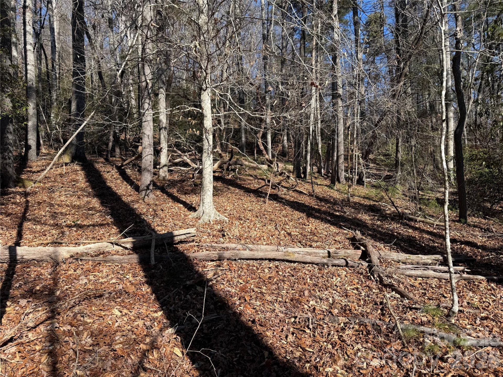 Lot 25 (A and B) Rockbrook Overlook - Photo 10
