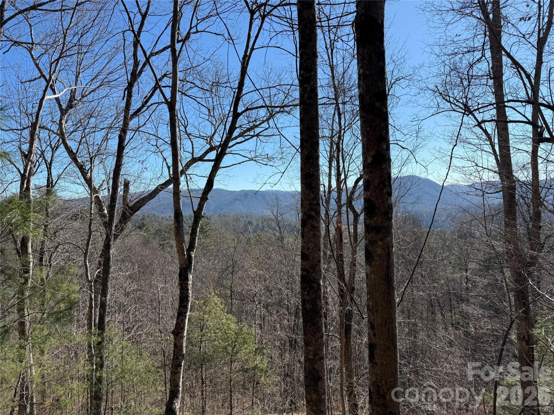 33 High Point Trail - Photo 2