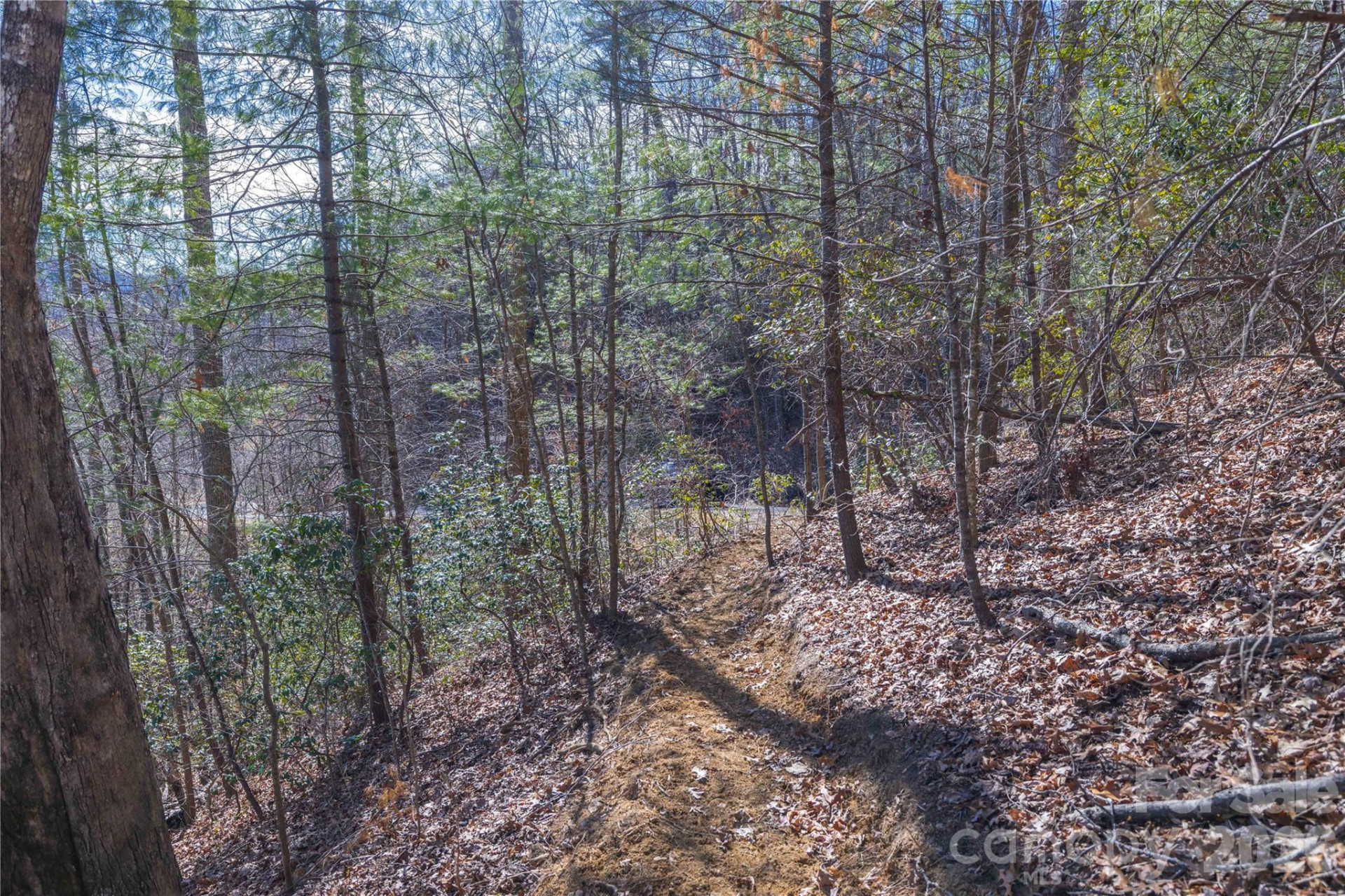 33 High Point Trail - Photo 17