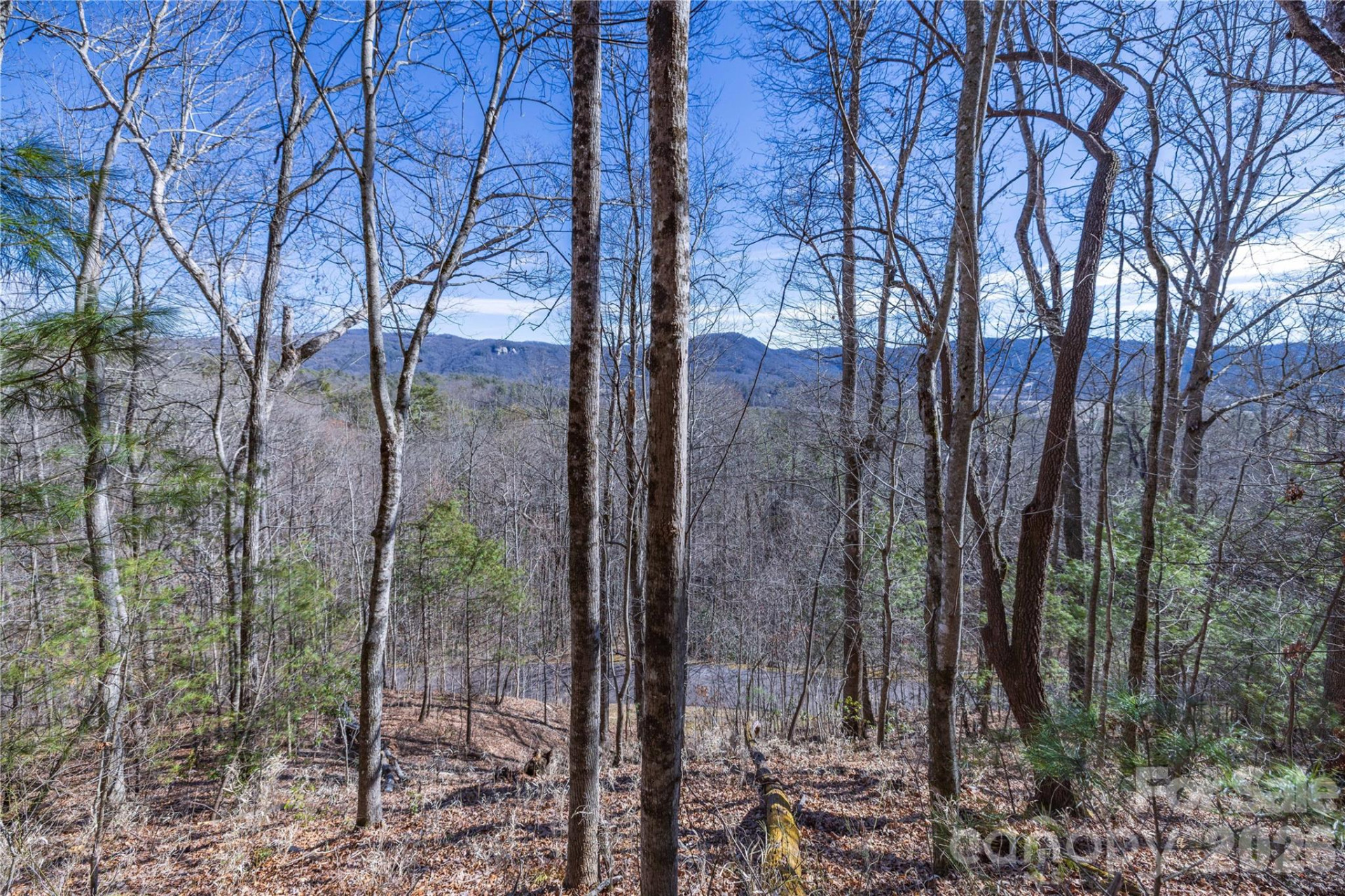 33 High Point Trail - Photo 19