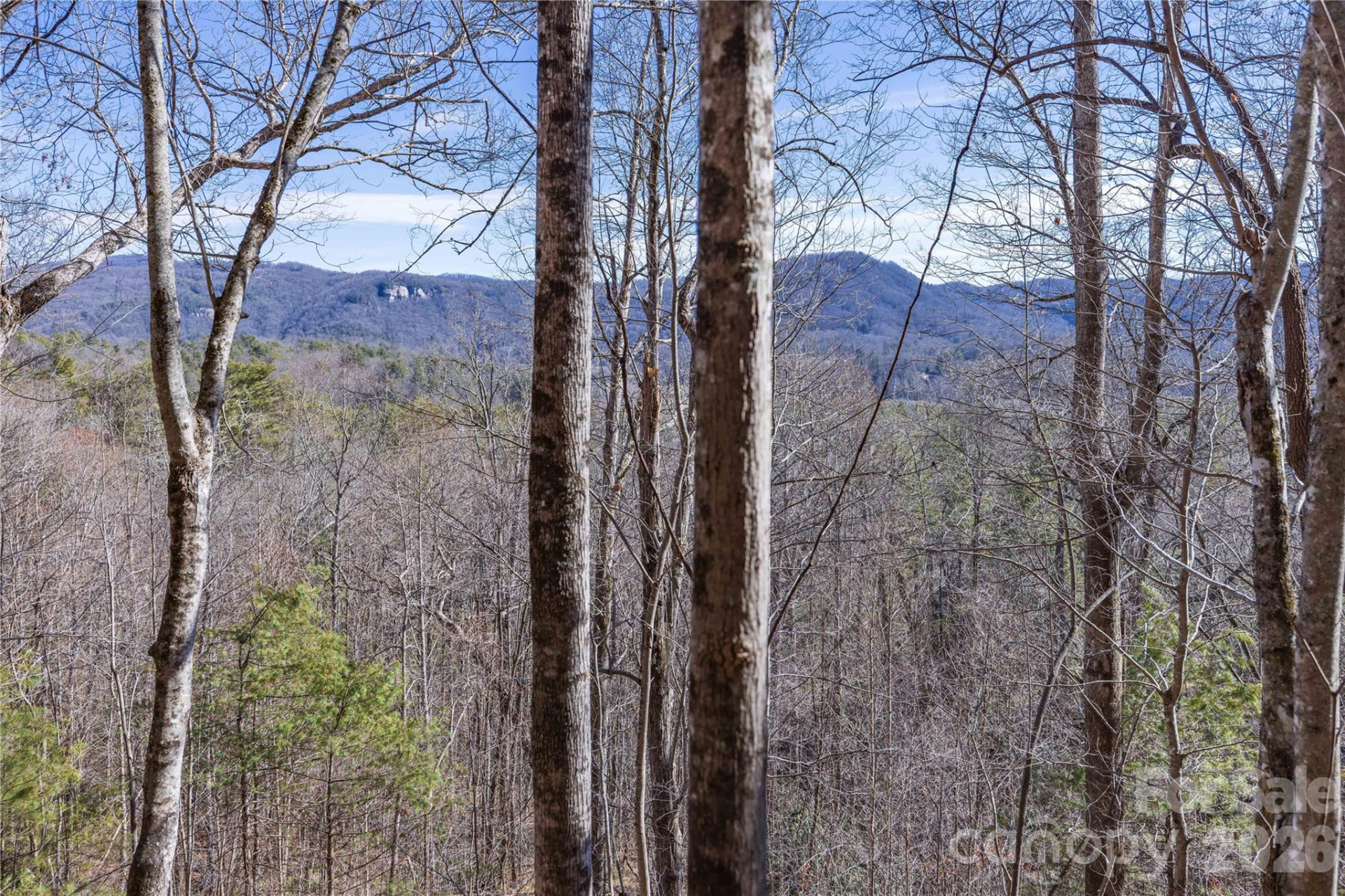 33 High Point Trail - Photo 20