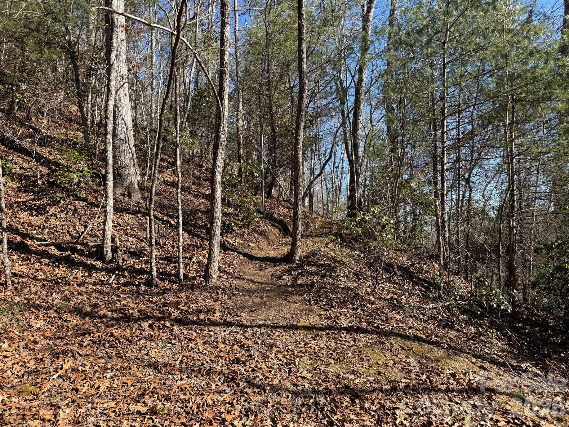 33 High Point Trail - Photo 3