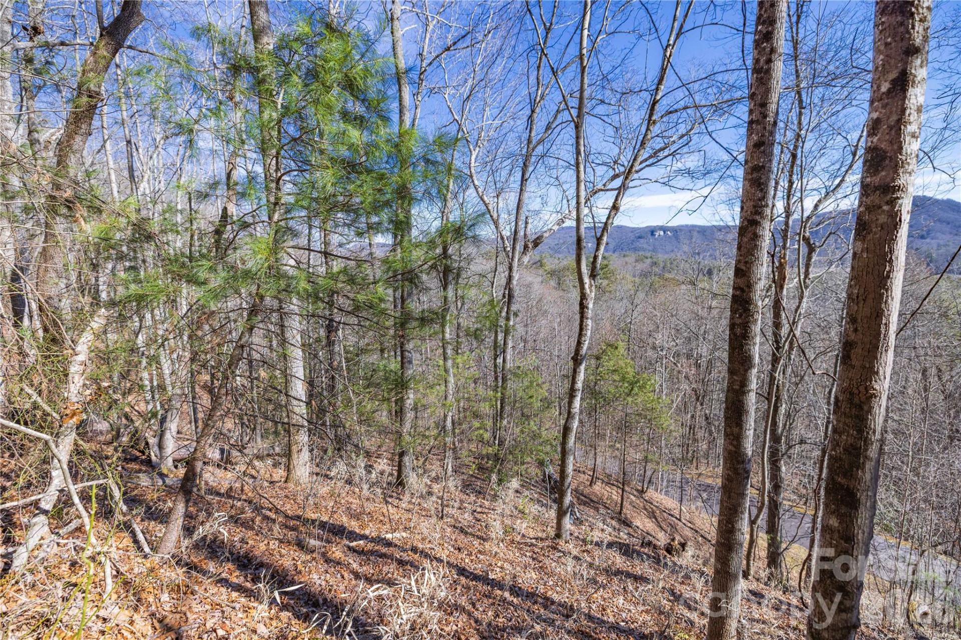 33 High Point Trail - Photo 21