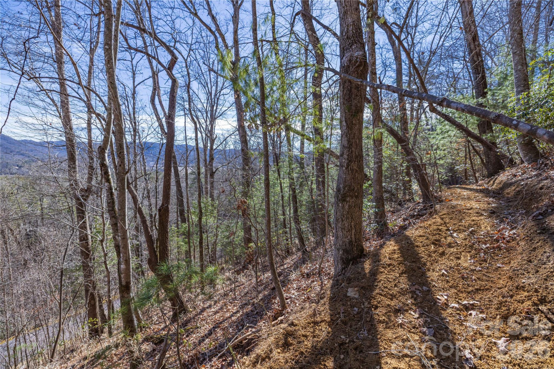 33 High Point Trail - Photo 22