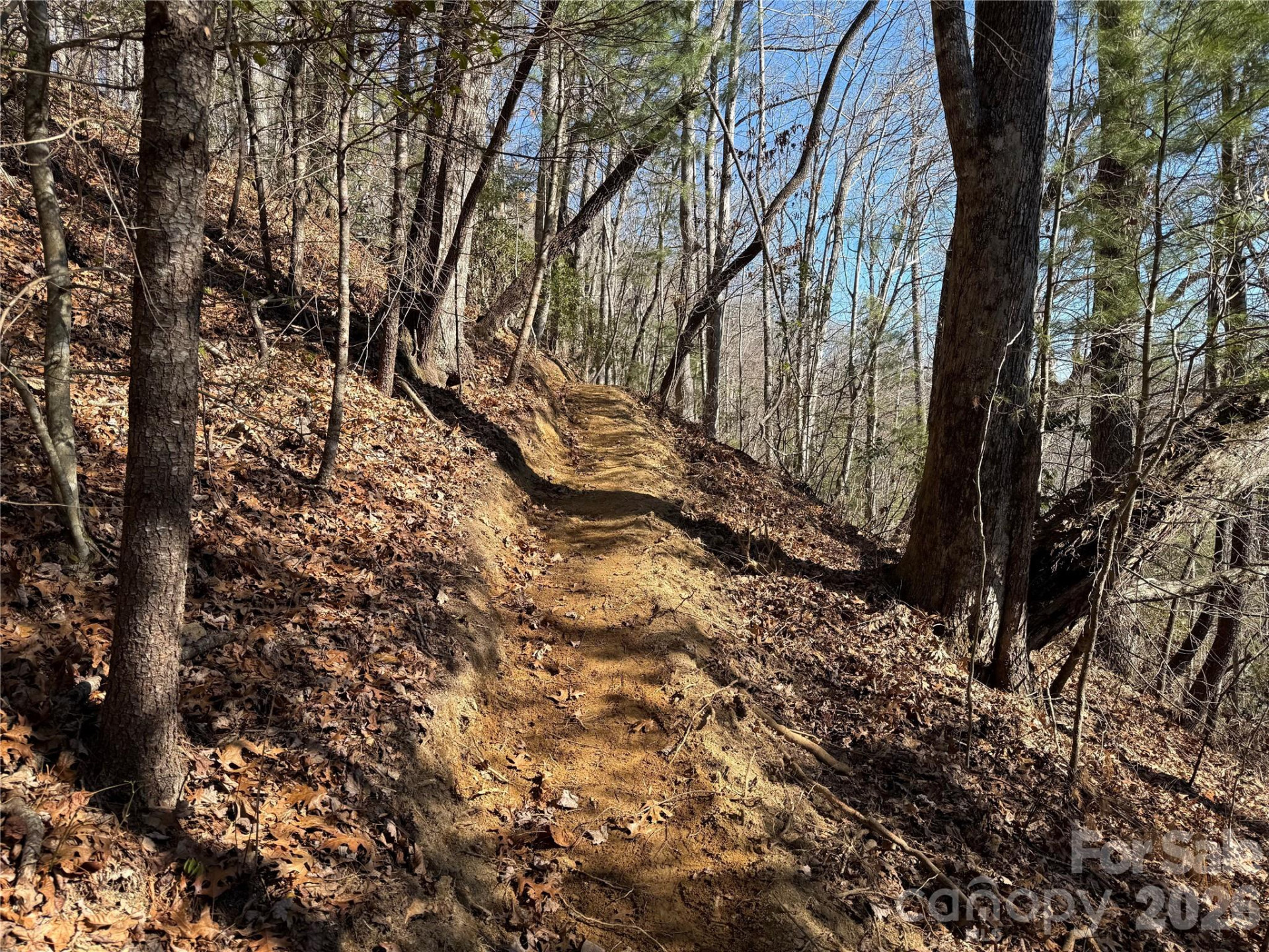 33 High Point Trail - Photo 4