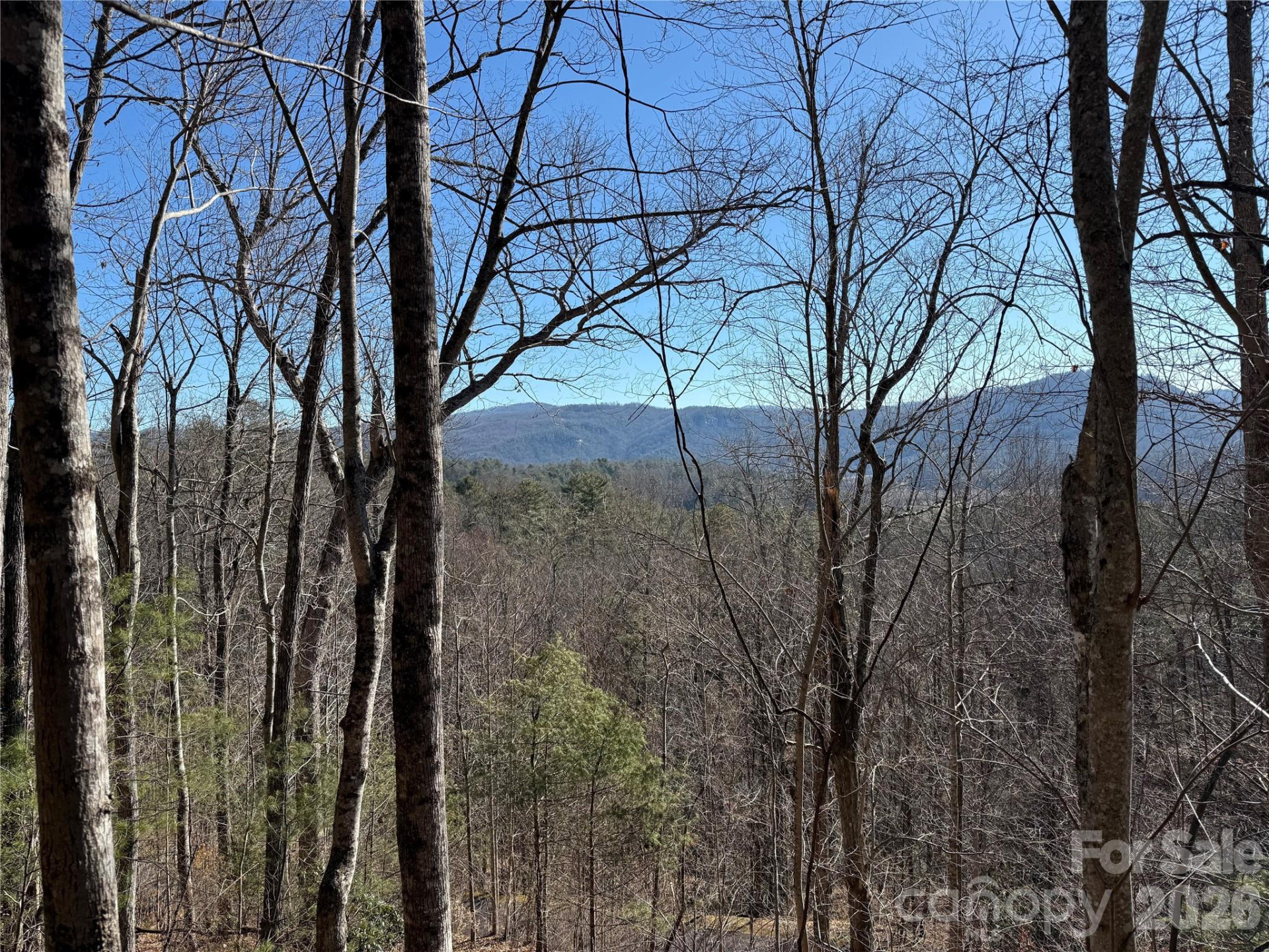 33 High Point Trail - Photo 5