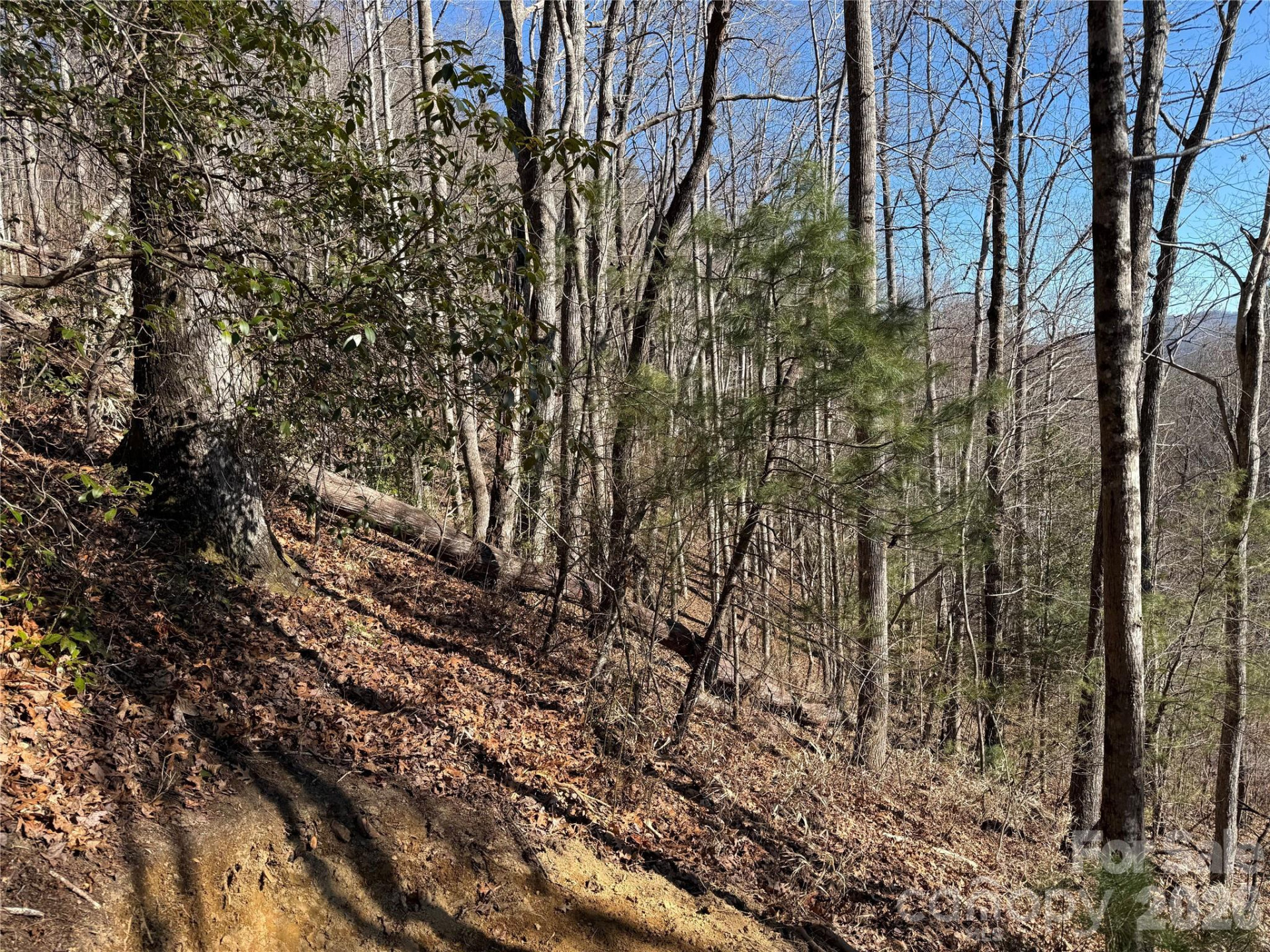 33 High Point Trail - Photo 6