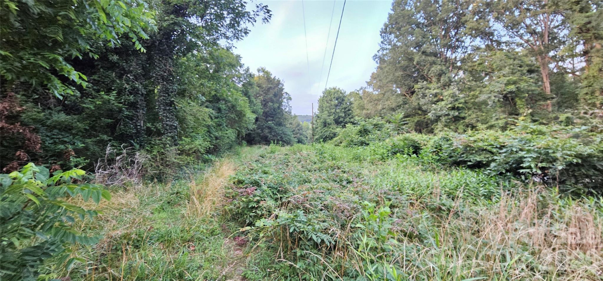 199 Ford Road - Photo 4