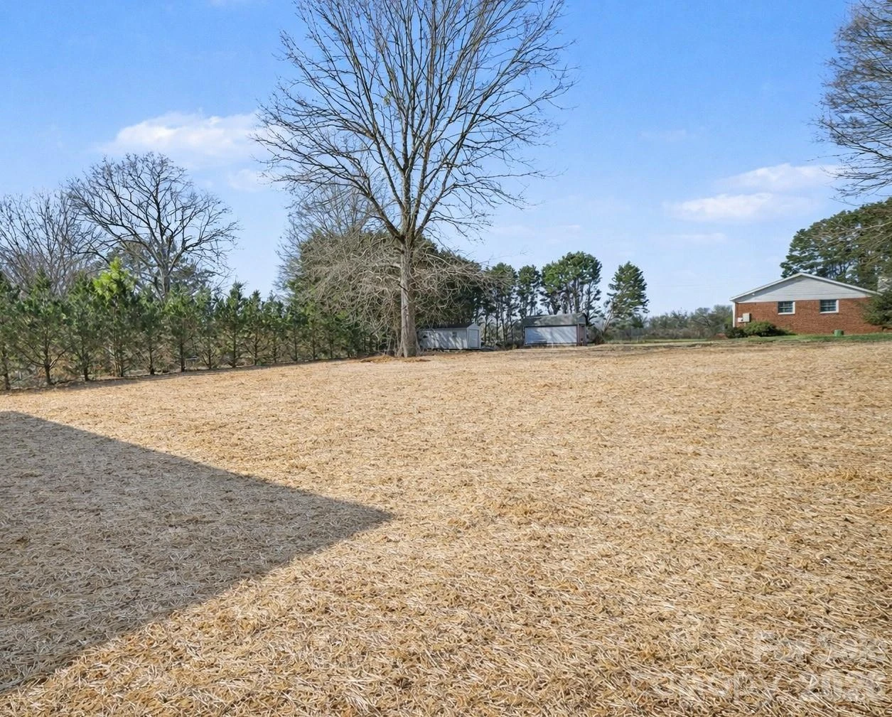 2025 Picnic Drive - Photo 17