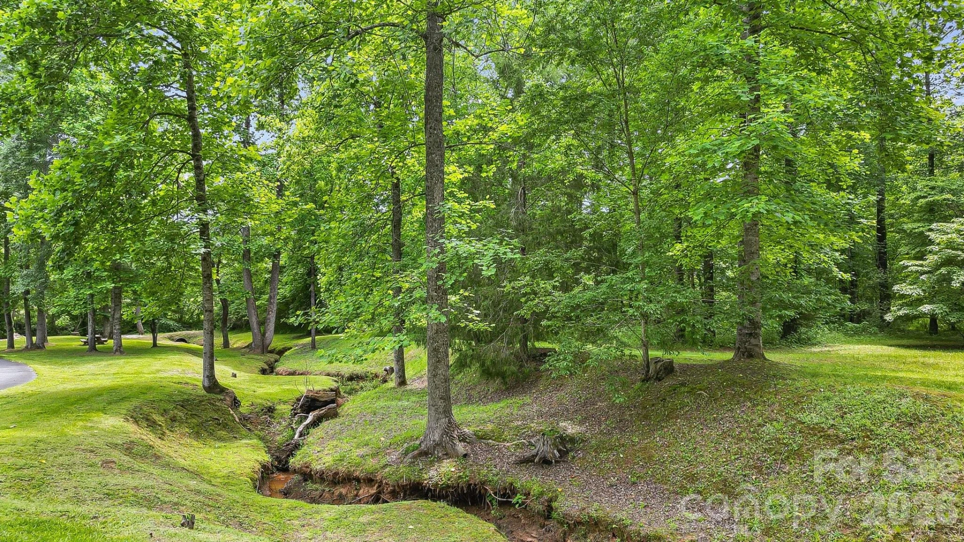 317 Chocolate Drop Circle - Photo 38