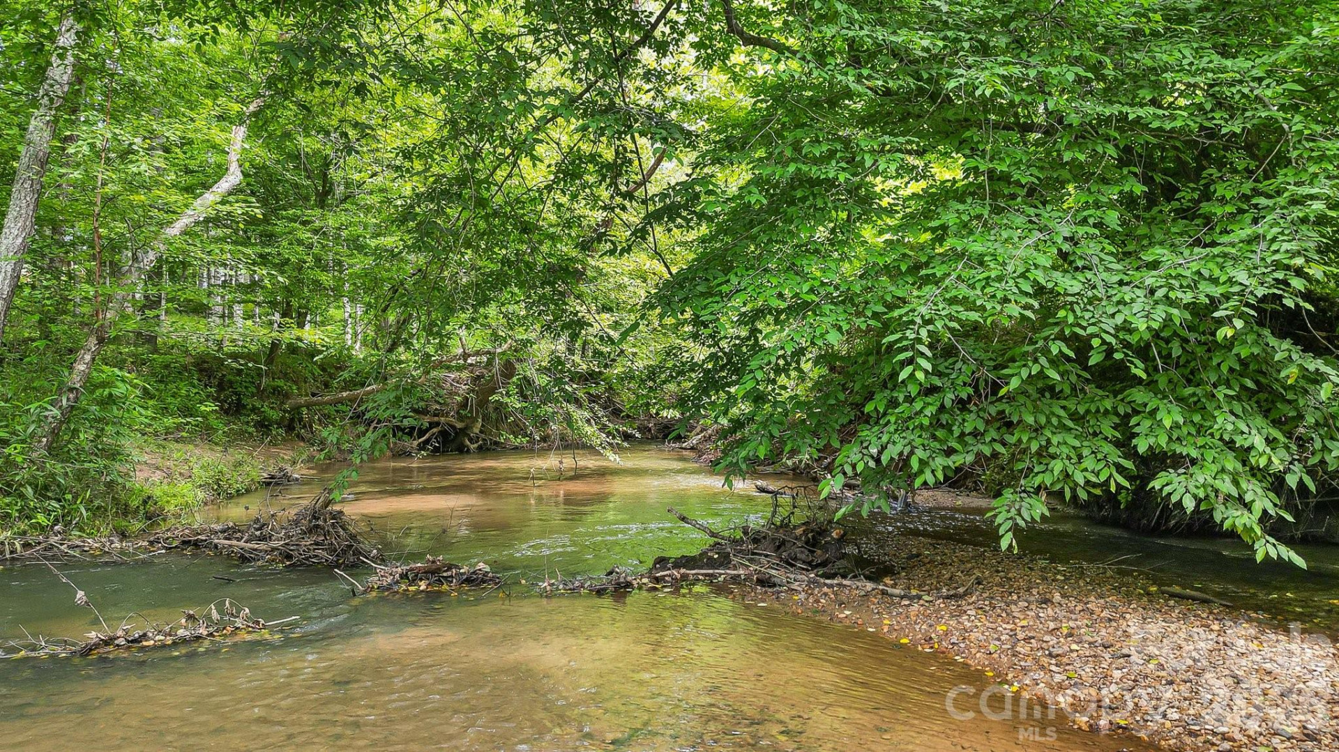 317 Chocolate Drop Circle - Photo 39