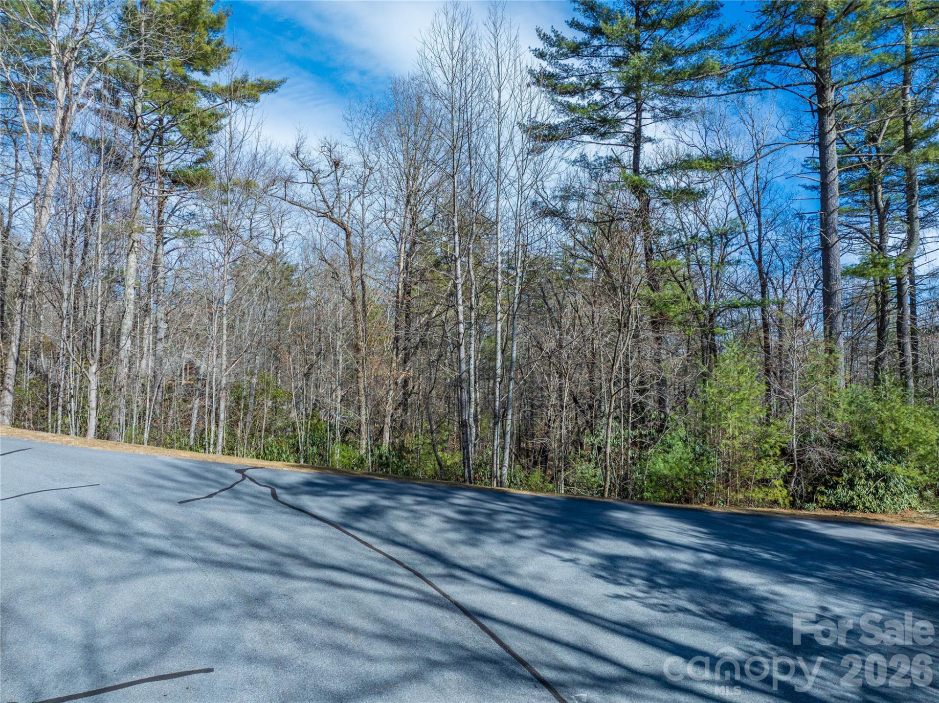 Lot 57 Stone Field Trail - Photo 11