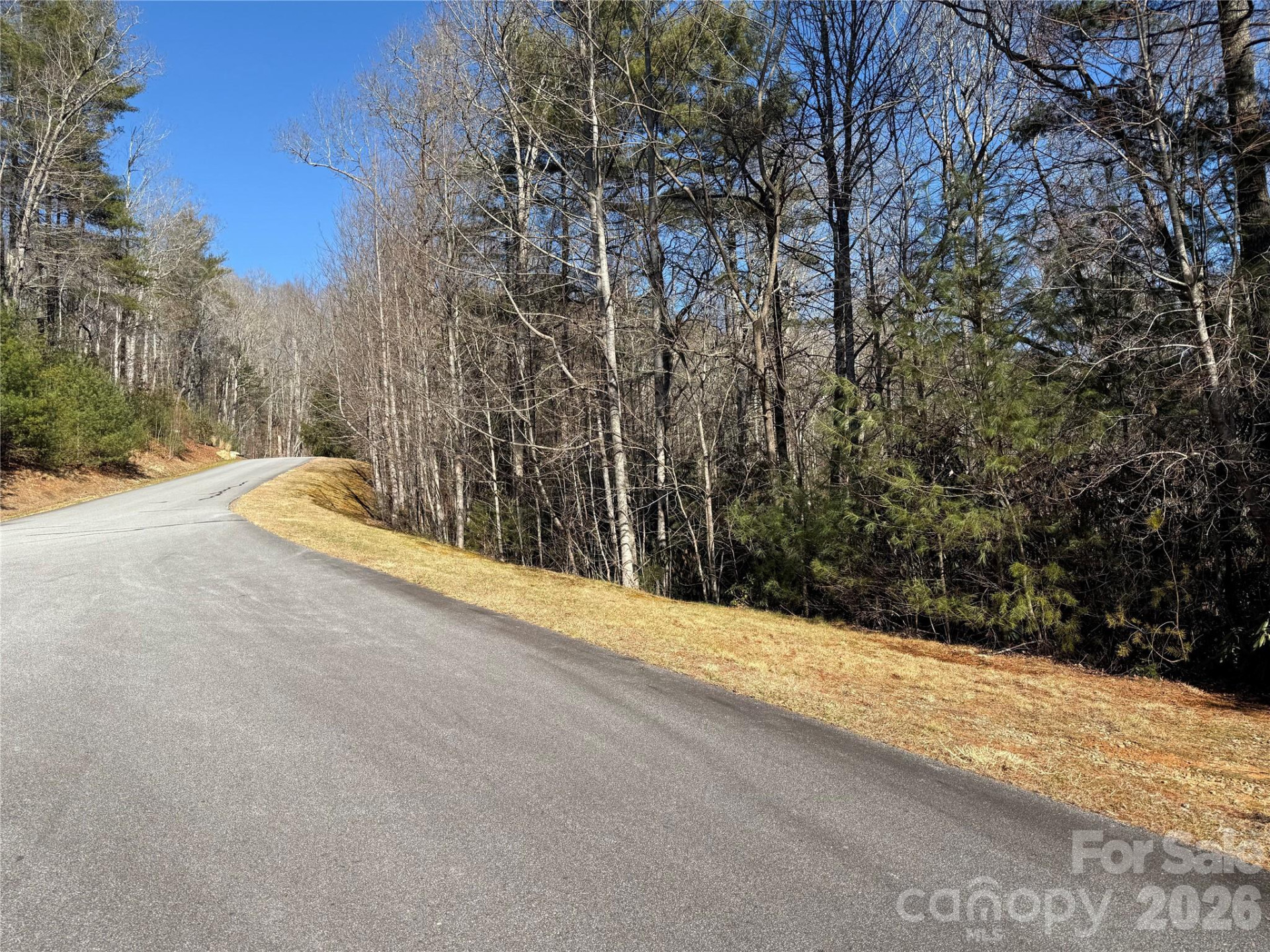 Lot 57 Stone Field Trail - Photo 5