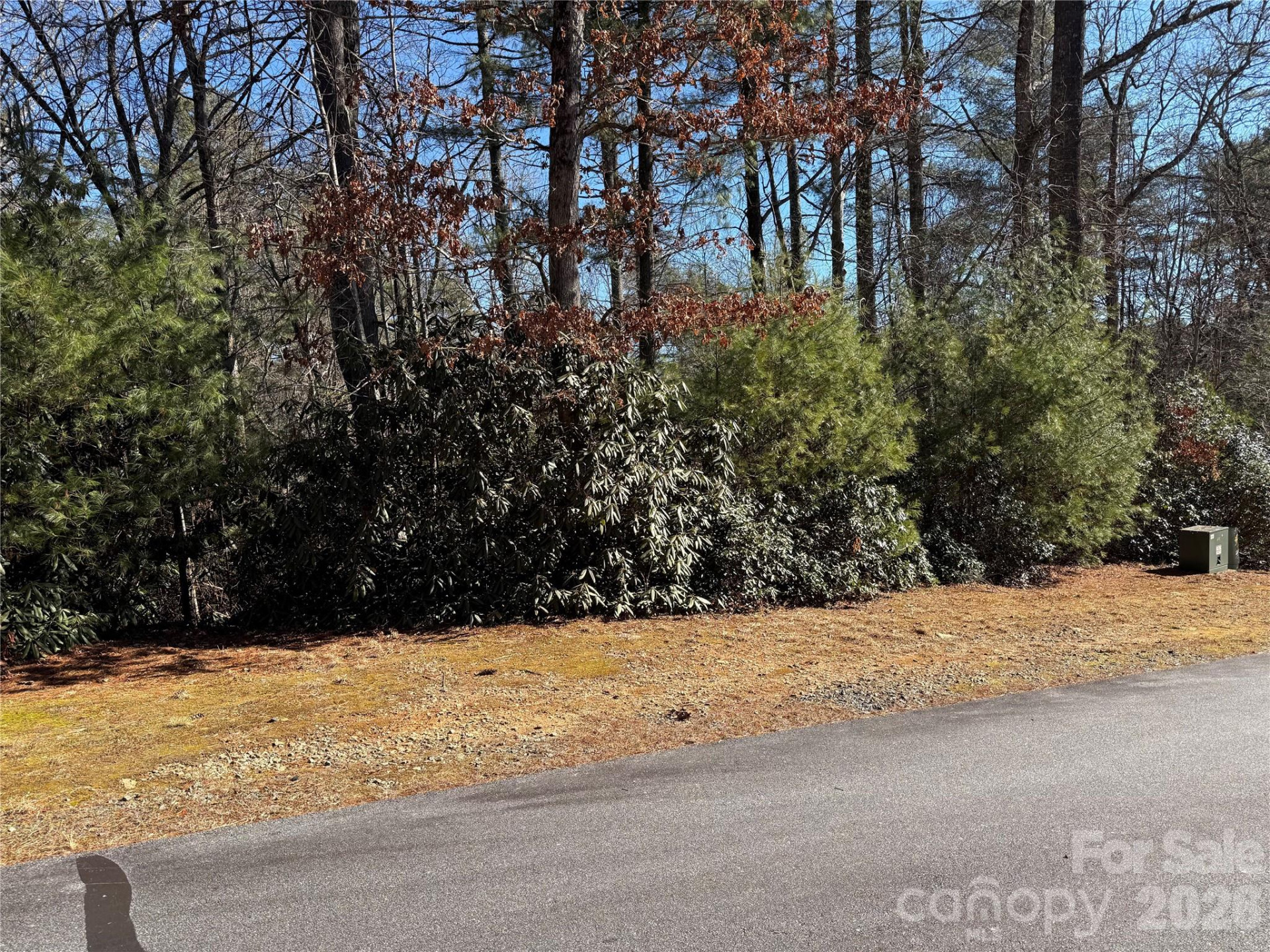 Lot 57 Stone Field Trail - Photo 6