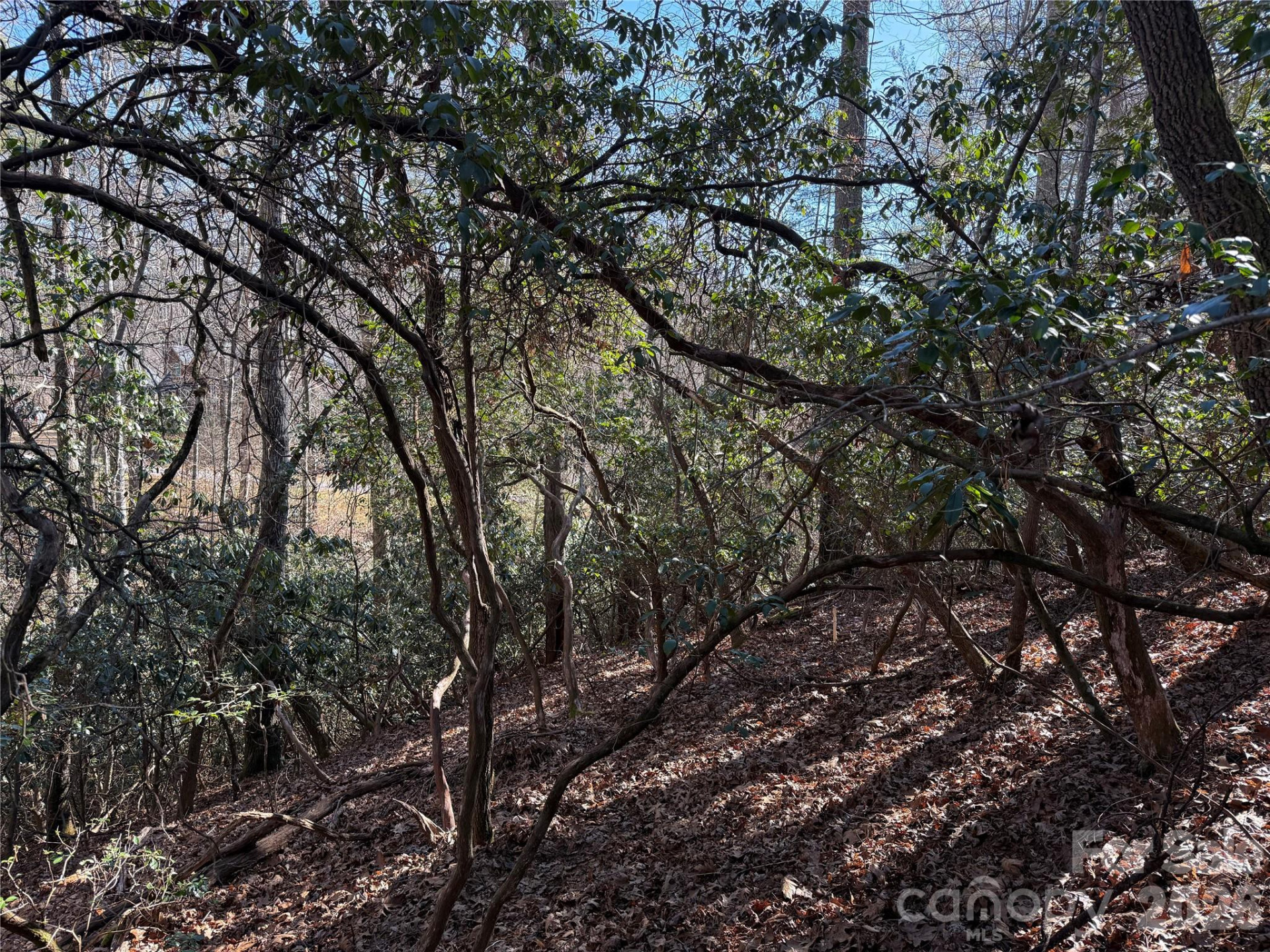 Lot 57 Stone Field Trail - Photo 7