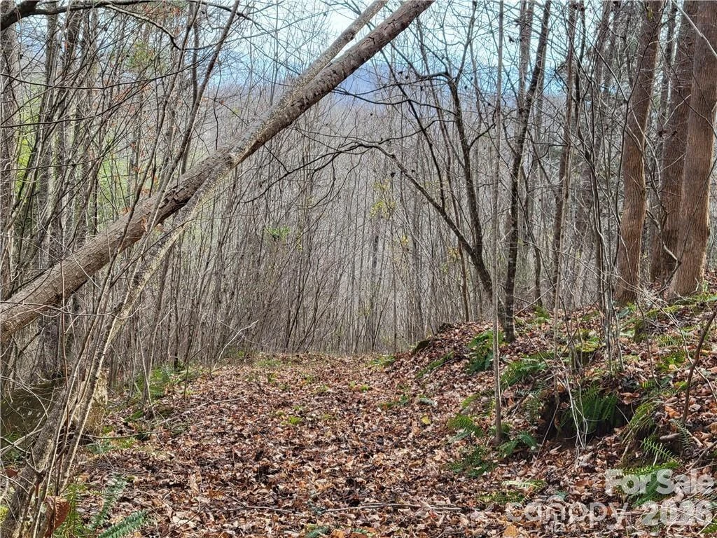 00 Sweet Creek Road