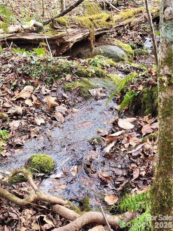 00 Sweet Creek Road - Photo 2