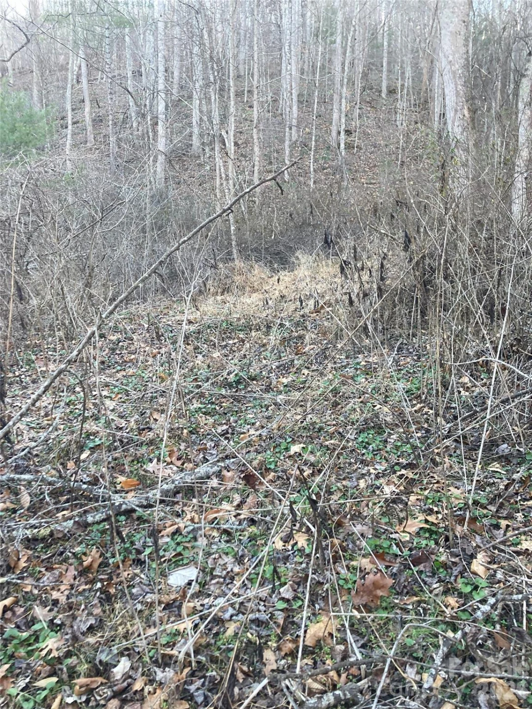 00 Sweet Creek Road - Photo 15
