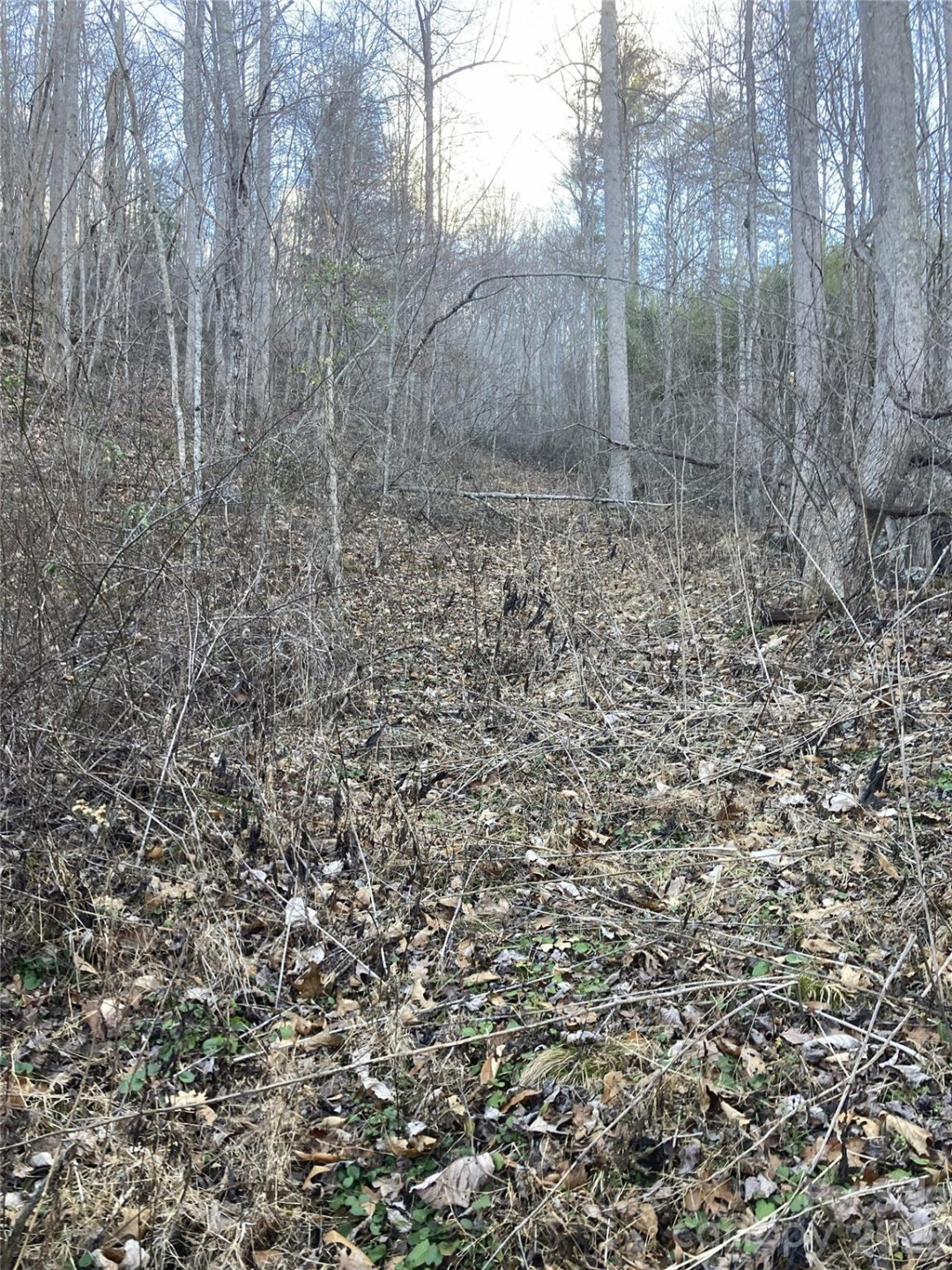 00 Sweet Creek Road - Photo 17