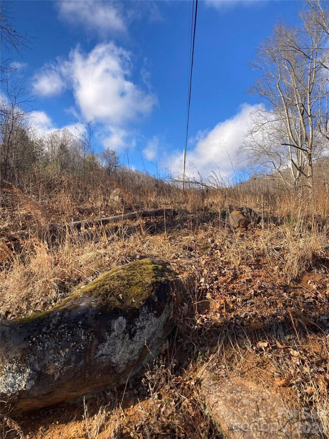 00 Sweet Creek Road - Photo 19