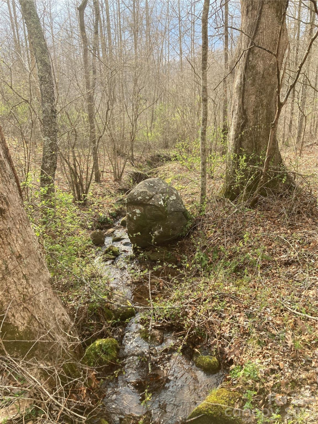 00 Sweet Creek Road - Photo 21