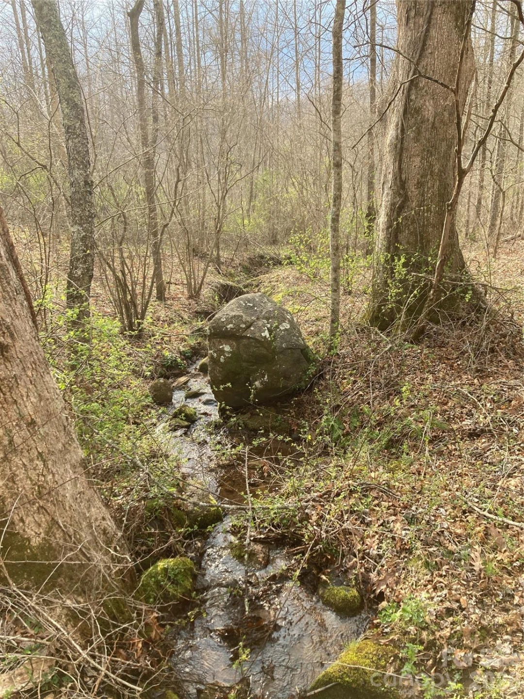 00 Sweet Creek Road - Photo 21