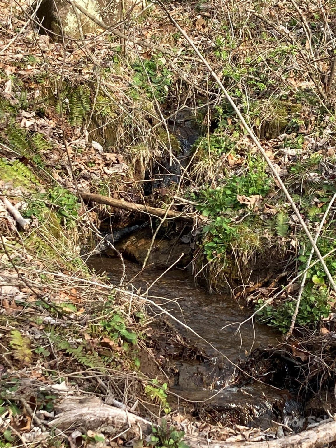 00 Sweet Creek Road - Photo 23