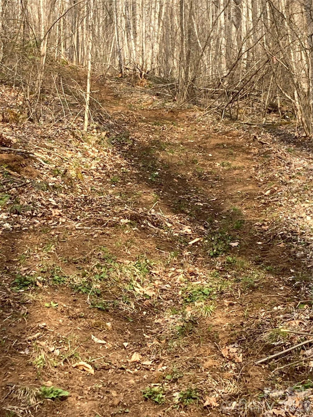 00 Sweet Creek Road - Photo 25