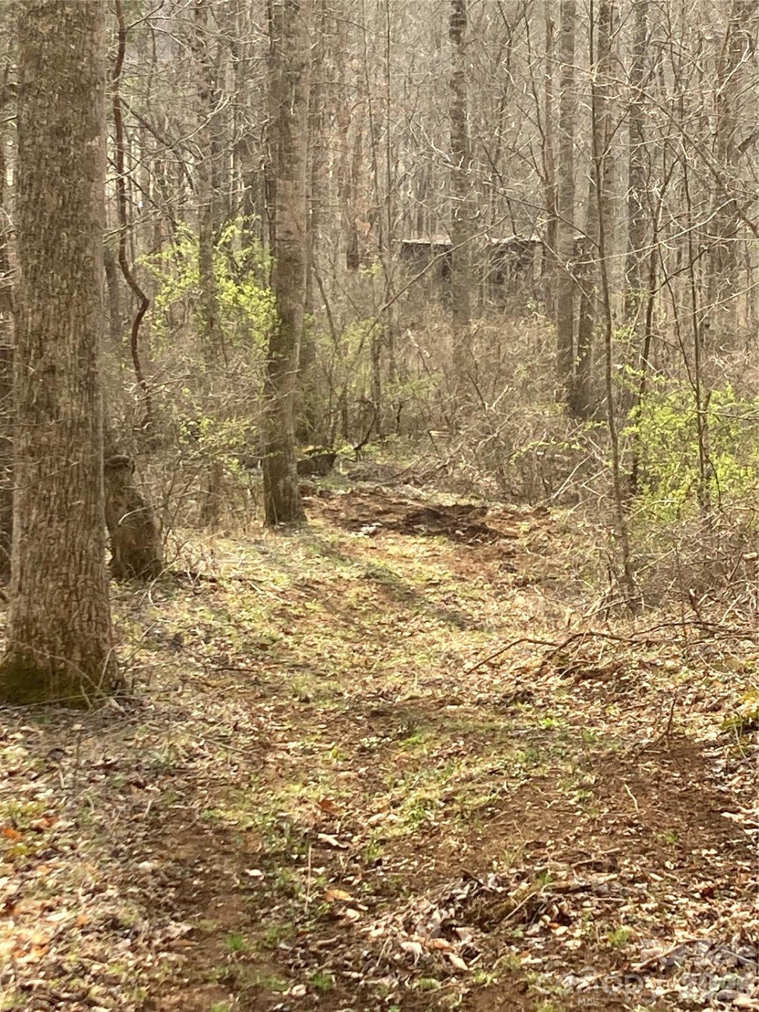 00 Sweet Creek Road - Photo 27